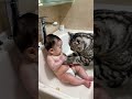 Cat bathes baby