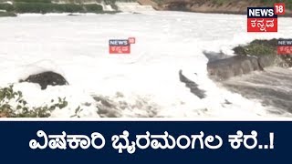 Ramanagara: Bhairamangala Lake Water Turns Poisonous