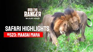 Safari Highlights #523: 11 & 12 June 2019 | Maasai Mara/Zebra Plains | Latest #Wildlife Sightings