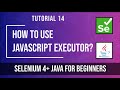 How to use JavaScriptExecutor in Web automation | Tutorial 14 | Selenium tutorial for beginners