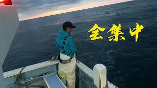 HAB FISHING（DFC）ヒラメ釣り@千葉県旭市飯岡 幸丸　暗闇を走る船で初酔？釣果はいかに？