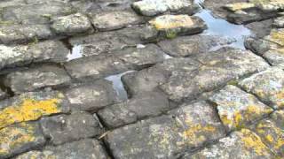 Tessellated Pavement, Tasmania