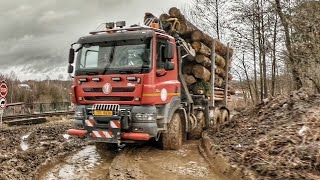 Sbírání & Vyvážení Dřeva z Lesa | TATRA PHOENIX 8X8