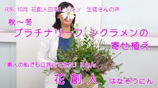 素人の私でも立派にできた／Ｋさん【シクラメン秋から冬の寄せ植え教室】花創人はなそうにん岐阜愛知寄せ植えハンギングバスケット教室