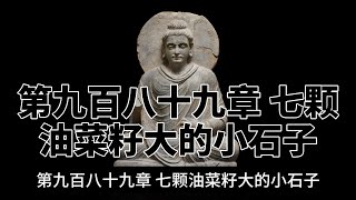 第九百八十九章 七颗油菜籽大的小石子。完全读懂巴利文大藏经（989）