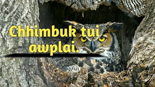 Chhimbuk tui awp lai.