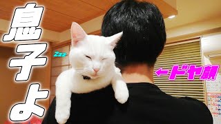 【弟猫】パパに抱っこされても人間の赤ちゃんみたいに寝る子猫…♡[兄弟子猫]