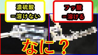 【化学実験】フッ酸(フッ化水素酸)で溶けて濃硫酸で溶けないもの