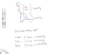 Chemical Weapons: Pulmonary Absorption