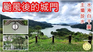 [輕鬆郊遊] 颱風後的城門  | 城門主壩放水 | 水淹白千層