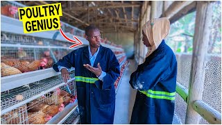 How to Brood Layer Chicks the RIGHT Way (Step-by-Step Guide)