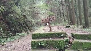 【豊橋鉄道田口線】三河大草駅に3年ぶりに行ってみた！