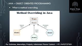 Java-28. Method Overriding