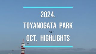 【公園紹介】県立鳥屋野潟公園2024年10月ハイライト