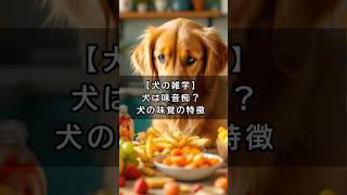 【犬の雑学】犬は味音痴？犬の味覚の特徴 #雑学＃犬＃豆知識