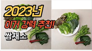 2023년 가성비 대박 쌈채소 상품 추천순위 TOP10