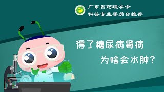 深读一分钟糖尿病肾病？（6）：得了糖尿病肾病为啥会水肿？