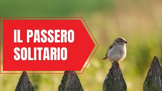 Il passero solitario