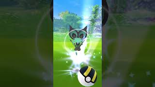 【ポケモンGO】オンバット　色違いゲット　2023年2月のコミュニティ・デイ