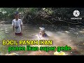 panah ikan