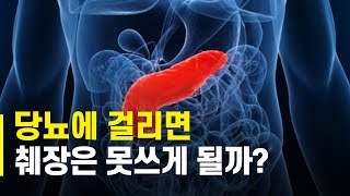 당뇨병, 췌장이랑 무슨 상관이 있을까? - 무엇이든 물어보샘 #7