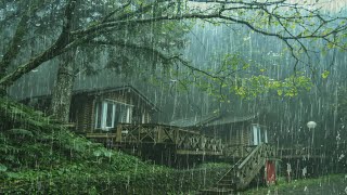 🔴 비 내리는 밤에 불면증을 위한 폭우, 빠르게 잠드는 빗소리 백색소음