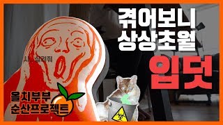 올치부부 태교일기 EP8 # 8-2주차//말로만 듣던 입덧..겪어보니 상상초월