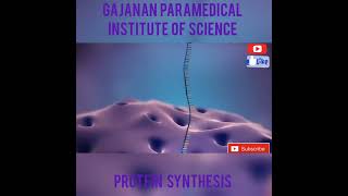 protein synthesis (प्रोटीन संश्लेषण)