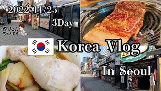 【韓国VLOG】ビザなし韓国旅行２泊３日　三年ぶりの韓国DAY3　江南『カンナム』弘大『ホンデ』美容・買物・グルメ編