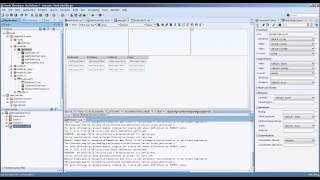 004J Application Module Methods: Search Form and Record Count