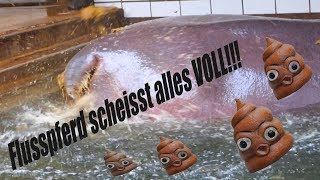 Flusspferd scheisst alles VOLL!!!