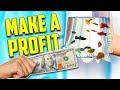 How To Make The Most Money Breeding & Selling Aquarium Fish