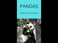 Select multiple rows and columns from a Pandas DataFrame?  | Python  #Shorts