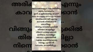 ഇനി കണ്ണീരൊന്നും വേണ്ട മനം പൊള്ളും നോവും വേണ്ട.... #malayalam #song #lyricvideo #shortvideo