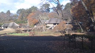 みちのく民俗村ライブ 2022.11.13 09:41