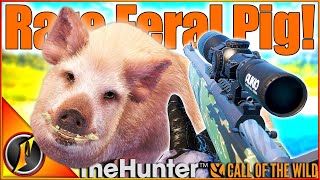 Our 1st Trophy with the 300 Blackout! | Rare Feral Pig in Call of the Wild!