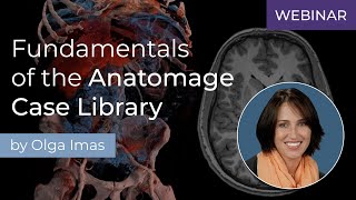 Fundamentals of the Anatomage Case Library