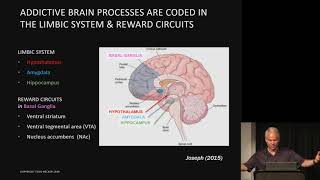Todd Becker - Retraining the limbic brain to reverse obesity and addictions - AHS19