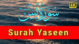 Surah Yaseen💓 | Surat ul Yasin | Beautiful Quran Surah Yaseen | Hafiz Arshad Ahmad Official