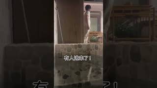 【暴躁貓咪e夢醬】：家裏被陌生人闖入了，還好有一個狗屋先躲一躲#小貓咪能有什麽壞心眼#家有喵星人#快手萌寵出道計劃#shorts