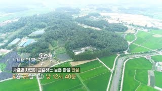 UHD 다큐 풍경 - 자연과 동물, 사람이 교감하며 공존하다...안성 / 연합뉴스TV (YonhapnewsTV)