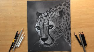 Pencil Drawing of a Cheetah - Graphite and Colored Pencil on Sanded Paper