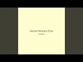 Aurora Harmony Echo