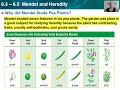 sections 6.3 6.5 mendel and heredity