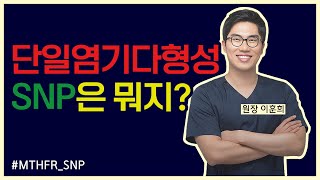 단일염기다형성, SNP(스닙)이란? 유전체의학의 핵심개념인 스닙에 대해서 간략히 설명해볼게요