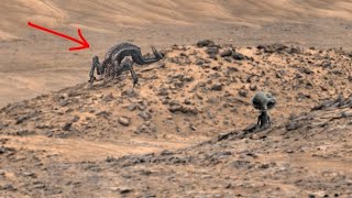 NASA's Perseverance Rover Released Most Latest Shocking 4k Panorama of Mars Sol 1227