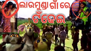 ଲାଉମୁଣ୍ଡା ଟଁଢେଇ | Laumunda Tandhei | Laumunda Tandei Viral Video | Laumunda Video