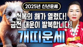 ✨2025년 대박나는 을사년 개띠운세✨천복의 해가 열렸다! 2025년 10년 대운 들어와 금전,귀인,문서운 한번에 다 들어온다! 58년생 70년생 82년생 94년생 개띠 운세!