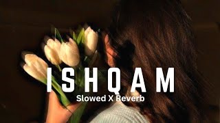 ISHQAM _ Mikka Singh // Slowed X Reverb