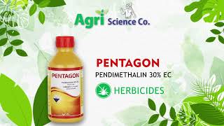 PENTAGONE--Pendimethalin 30% EC